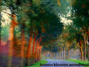anita snik-broeken, fotografie, bomen kleuren avondrood