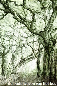 anita snik-broeken, potloodtekening, de oude wijzen van het bos