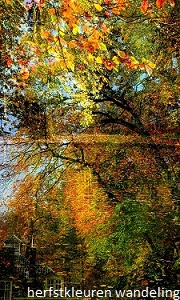 anita snik-broeken, fotografie, herfstkleuren wandeling